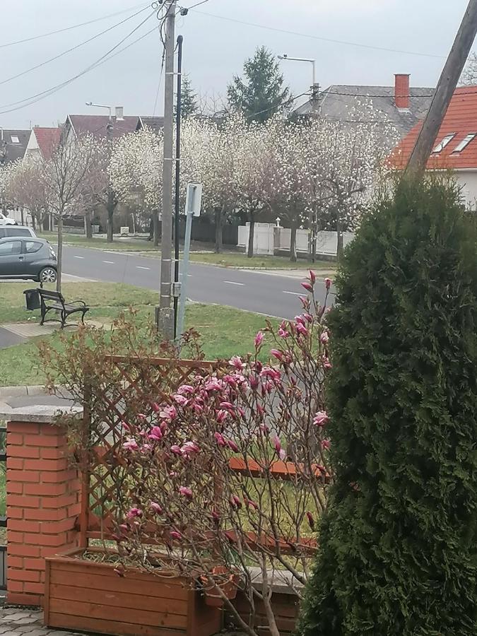 Marina-Buek Apartmanhaz エクステリア 写真